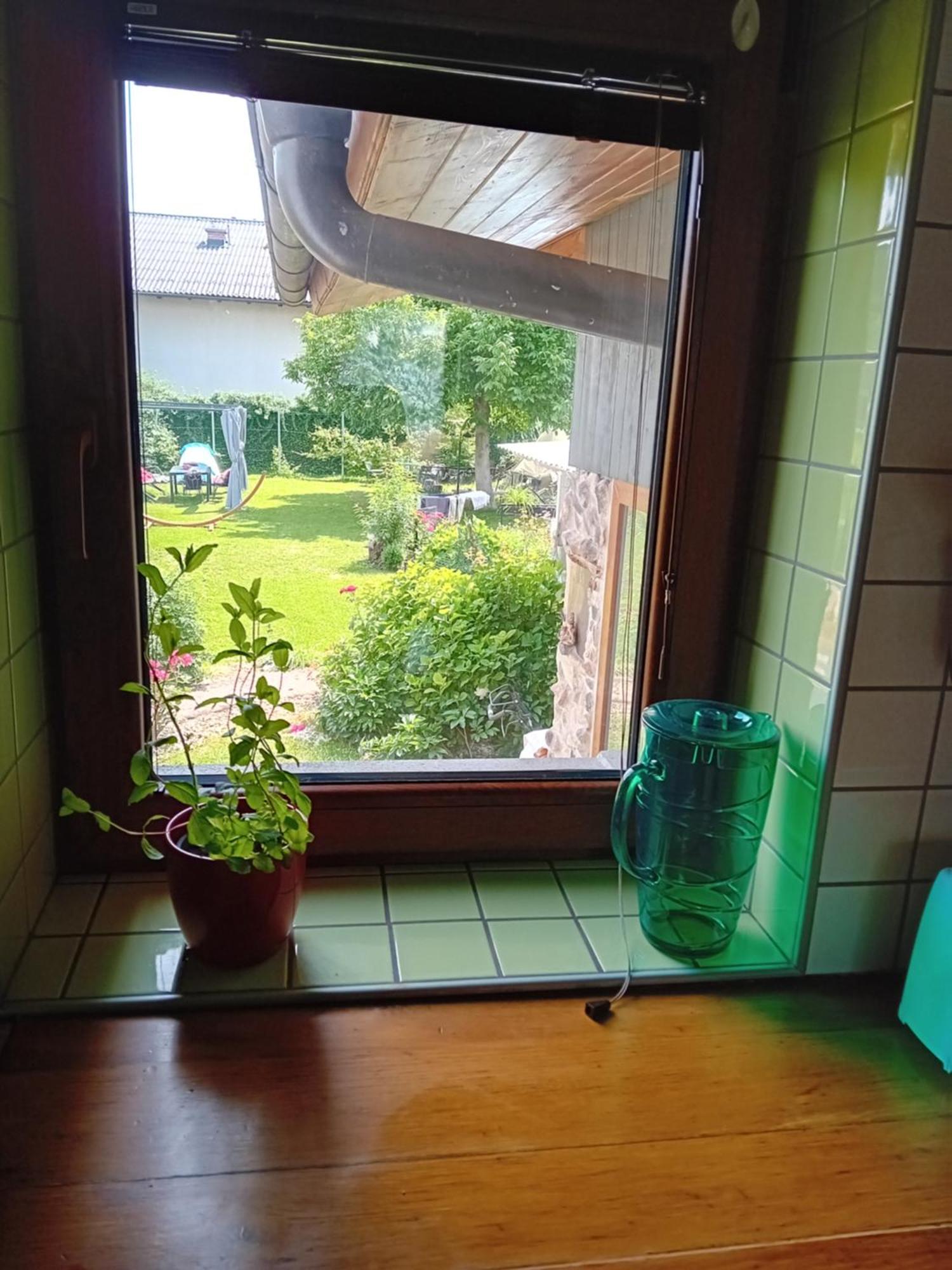 Apartment Baci For 4 Guests ليوبليانا المظهر الخارجي الصورة