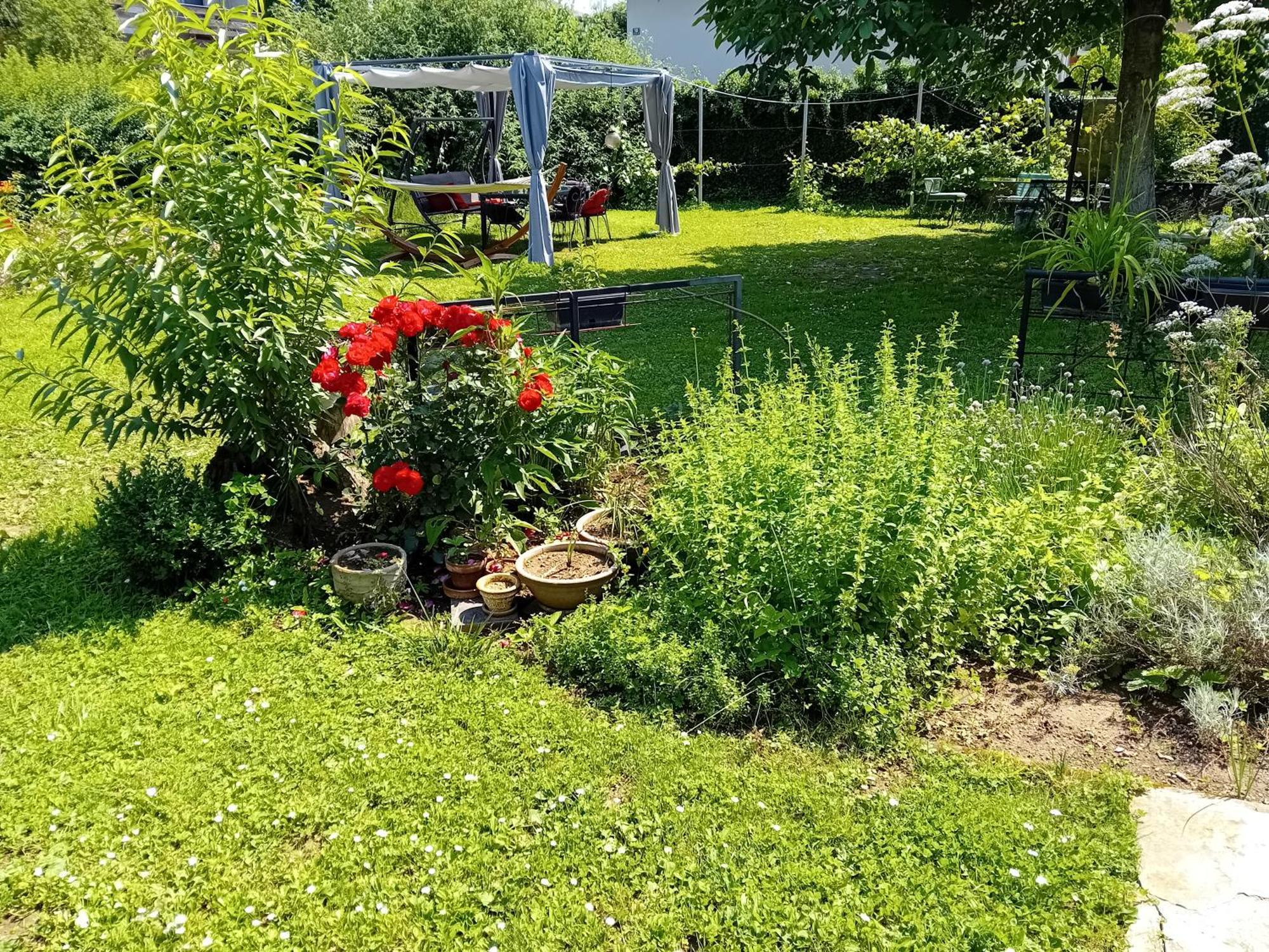 Apartment Baci For 4 Guests ليوبليانا المظهر الخارجي الصورة
